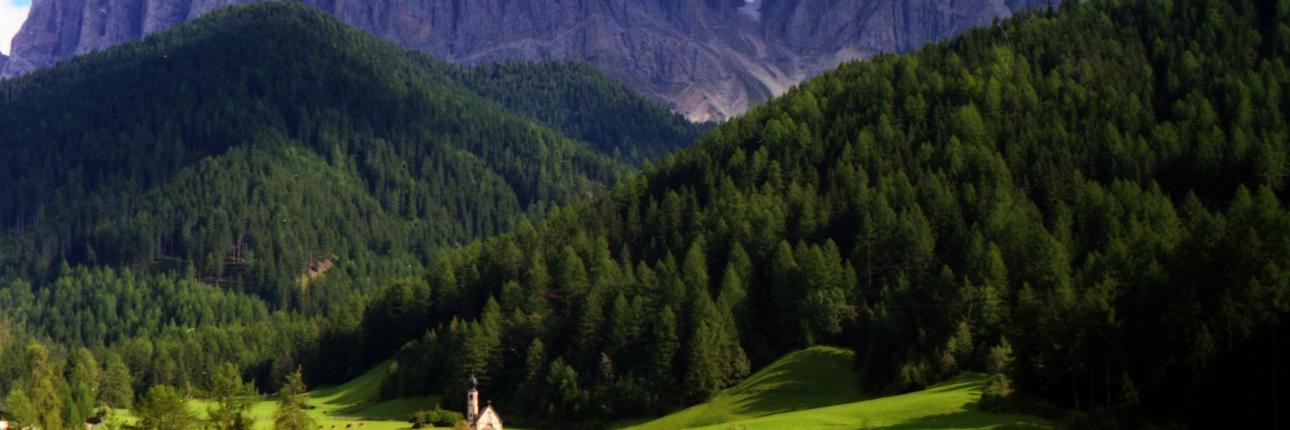 Villnöss steht nicht nur für die Geislergruppe und die Kirche von St. Magdalena - Wahrzeichen der Gemeinde - sondern auch für einen der weltweit bekanntesten Bergsteiger: Reinhold Messner, Ehrenbürger der Gemeinde, stammt aus diesem Tal.  Berge Almen Ex-Bild-DB-ID: 533