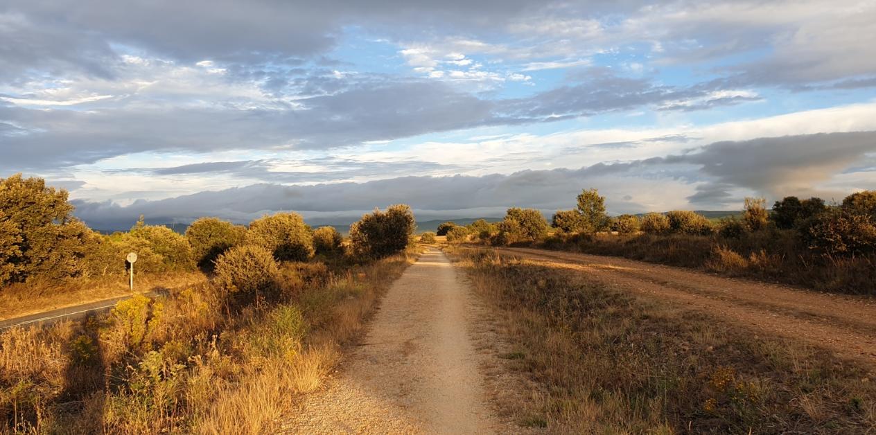 Camino Francés nach Santiago de Compostela