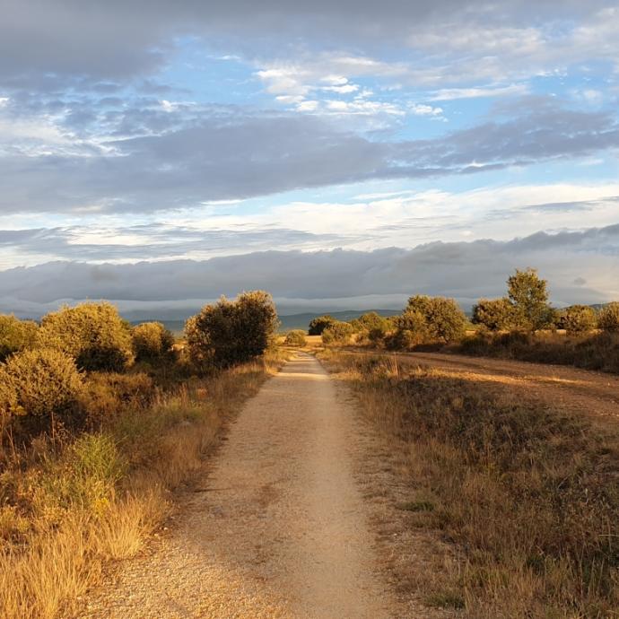 Camino Francés nach Santiago de Compostela