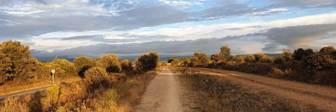 Camino Francés nach Santiago de Compostela