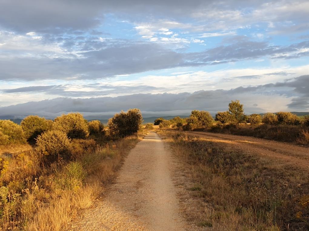 Camino Francés nach Santiago de Compostela