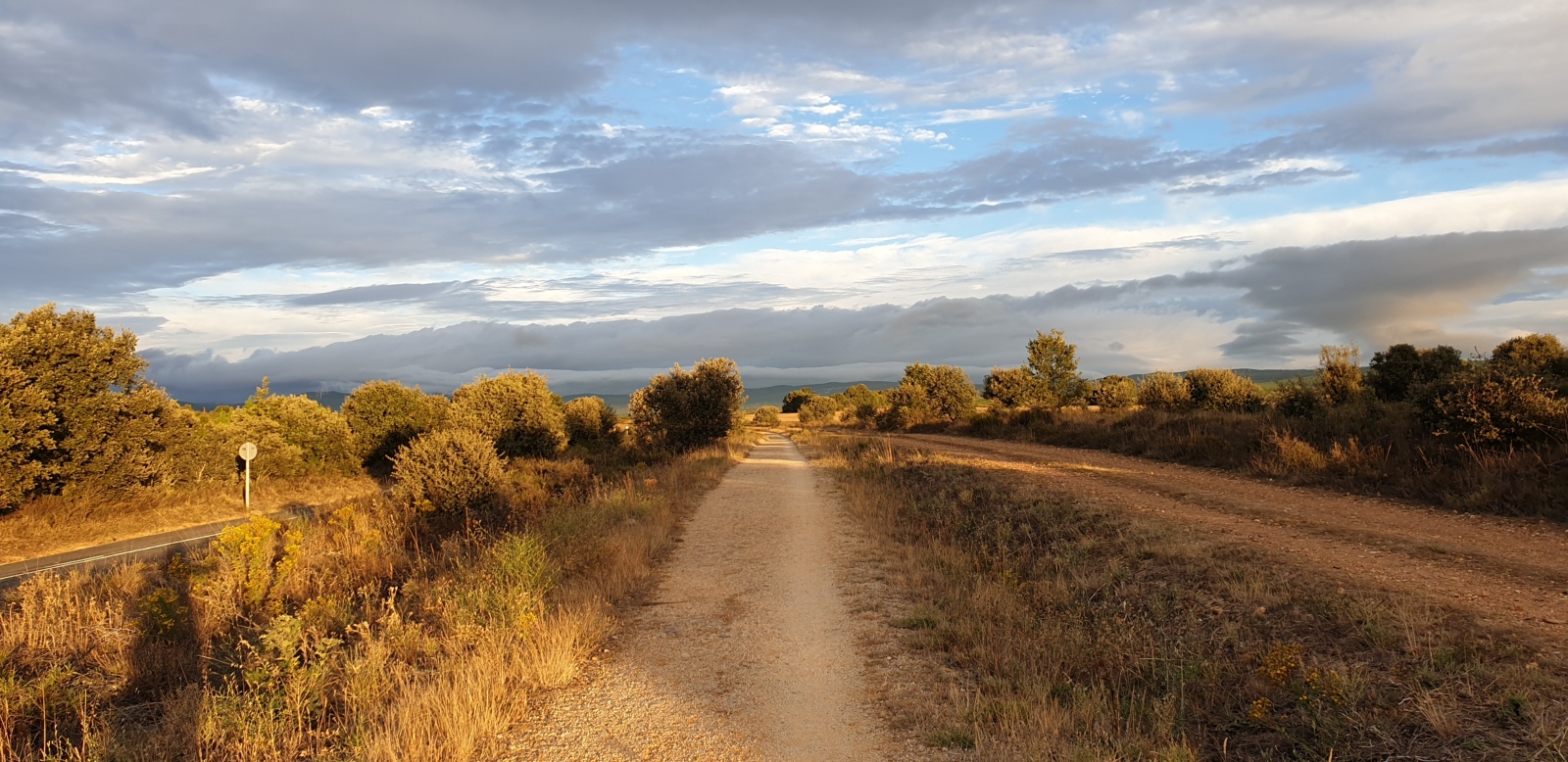 Camino Francés nach Santiago de Compostela