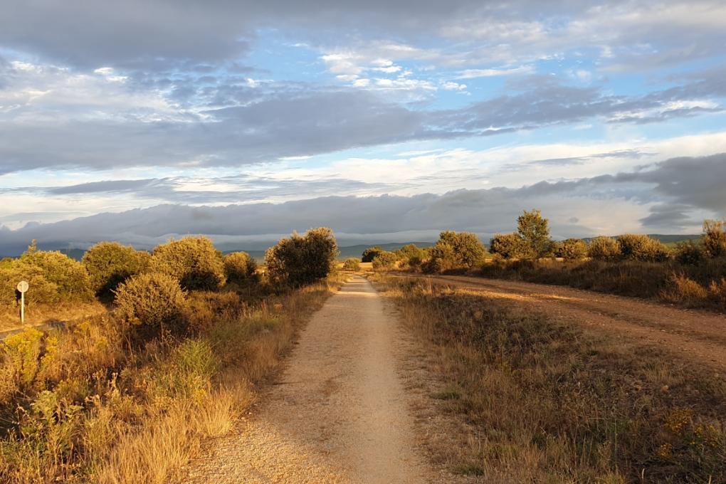 Camino Francés nach Santiago de Compostela