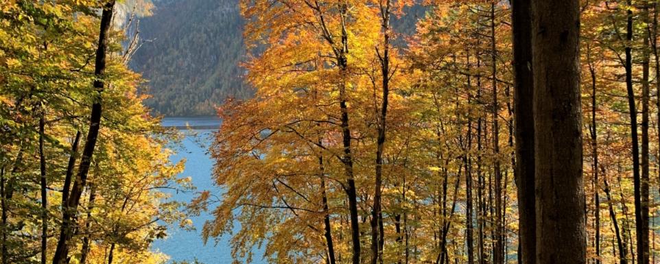 Am Königssee - Herbst
