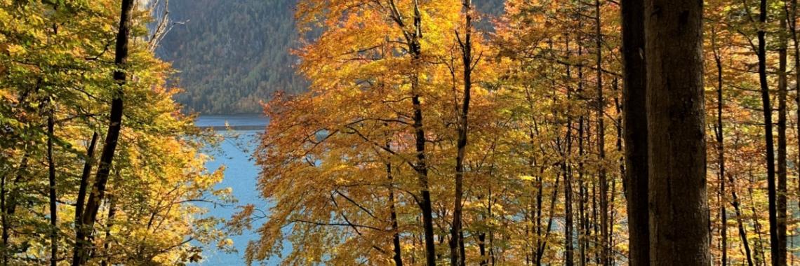 Am Königssee - Herbst