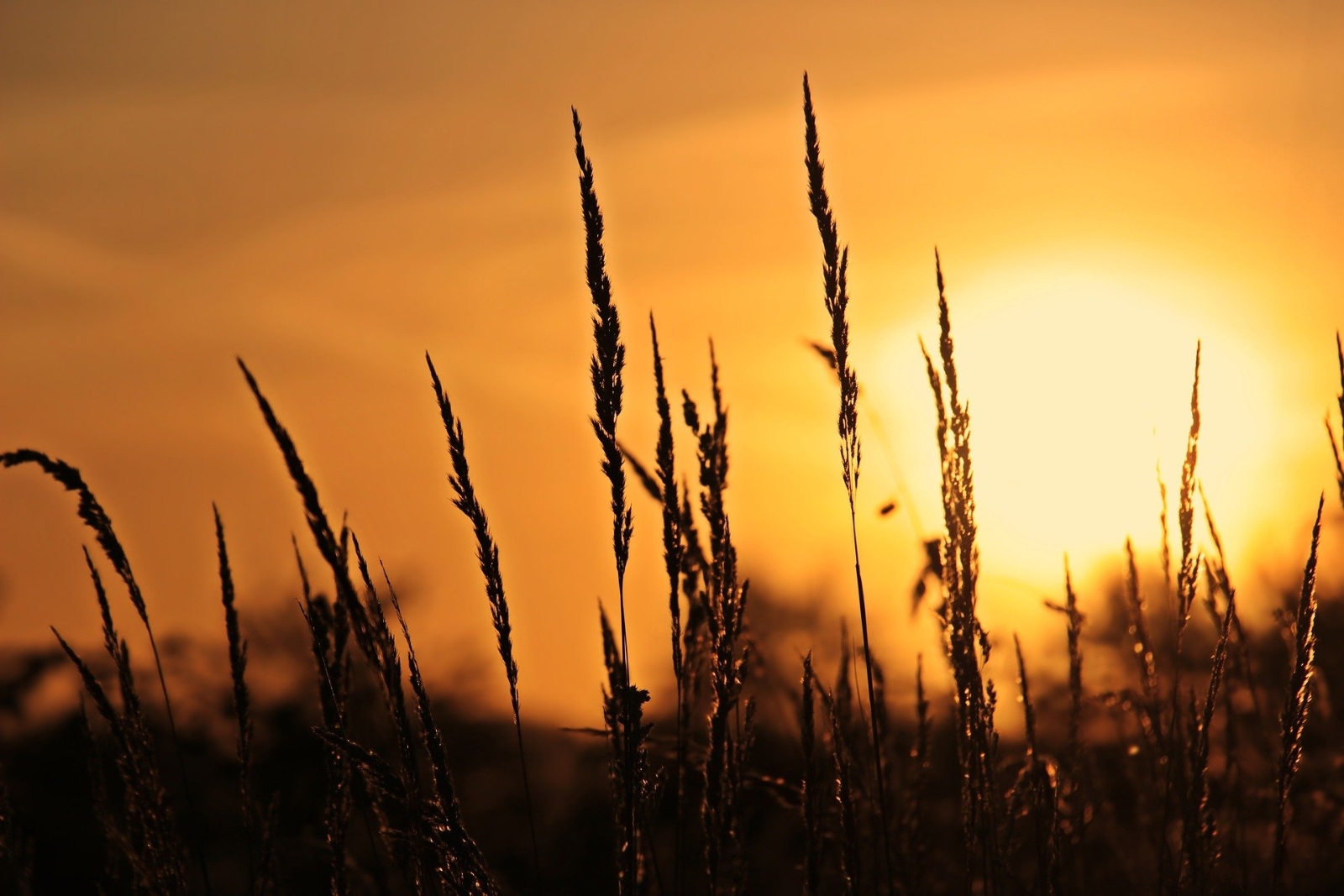 sunrise-3712483_1920